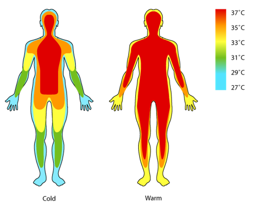 Body thermoscan